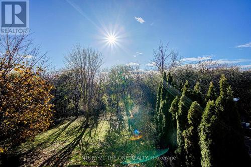 78 Ravine Edge Drive, Richmond Hill, ON - Outdoor With View
