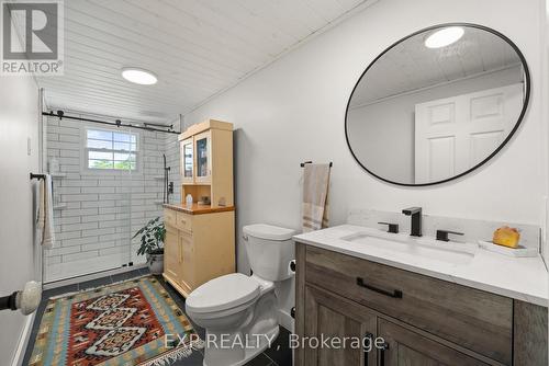 Renovated main floor 3 piece. - 141 & 142 Station Road, Prince Edward County (Hillier Ward), ON - Indoor Photo Showing Bathroom