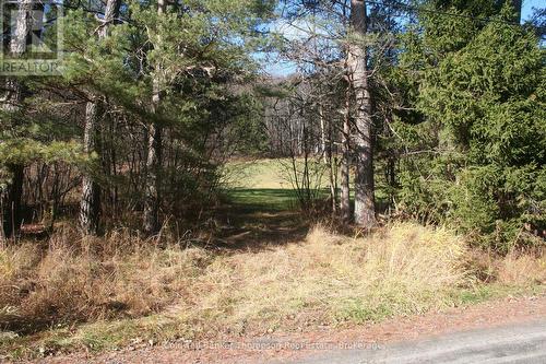 200 Mica Mine Road, Huntsville (Brunel), ON 