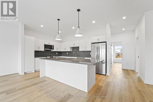 175 Margaret Avenue, Hamilton, ON - Indoor Photo Showing Kitchen With Upgraded Kitchen