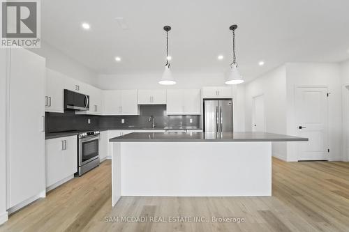 175 Margaret Avenue, Hamilton, ON - Indoor Photo Showing Kitchen With Upgraded Kitchen