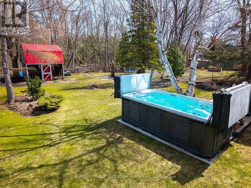 2035 Craig Road, Innisfil, ON - Outdoor With Above Ground Pool With Backyard