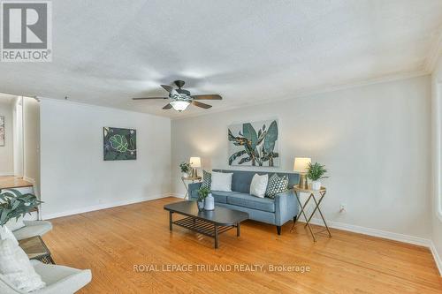 960 Osgoode Drive, London South (South Y), ON - Indoor Photo Showing Living Room