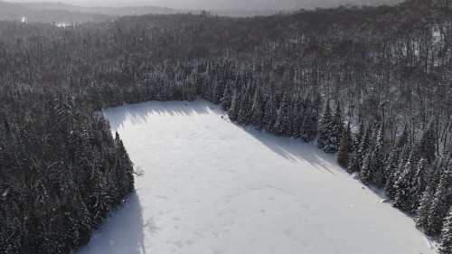 Vue d'ensemble - Ch. Du Lac-Tyrol, Lantier, QC 