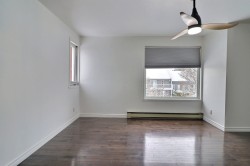 Bedroom - 