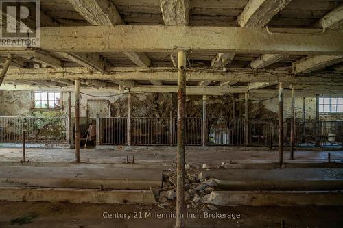 425158 Irish Lake Road, Grey Highlands, ON 