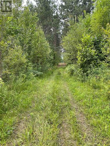 0 Government Road, Whitewater Region, ON 