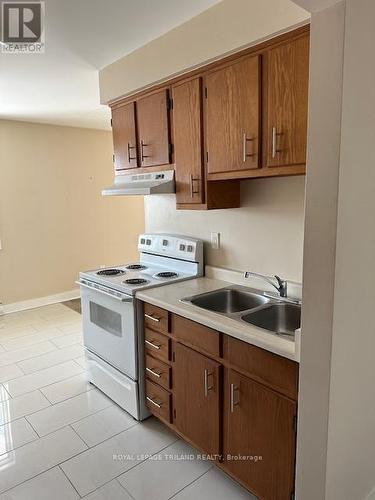 221 Highview Drive, St. Thomas, ON - Indoor Photo Showing Kitchen With Double Sink