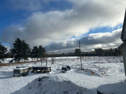 Terre/Terrain - 8203 Rg Du Parc, Rouyn-Noranda, QC - Outdoor With View