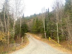 43 Spur No.1 RD  Bocabec, NB E5B 3K1