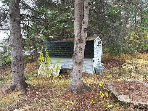 53 Country, Shediac River, NB 