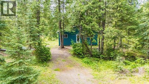 116 Liness Road, Salmo, BC - Outdoor