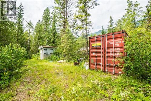 116 Liness Road, Salmo, BC - Outdoor