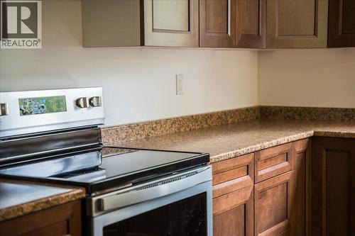116 Liness Road, Salmo, BC - Indoor Photo Showing Kitchen