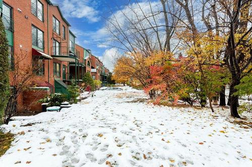 Cour - 331 Rue De La Noue, Montréal (Verdun/Île-Des-Soeurs), QC - Outdoor