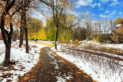 À proximité - 331 Rue De La Noue, Montréal (Verdun/Île-Des-Soeurs), QC - Outdoor With View