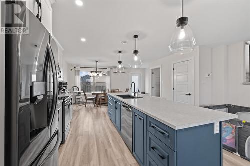 64 Tyrell Drive, Paradise, NL - Indoor Photo Showing Kitchen With Upgraded Kitchen