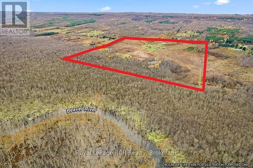 195781 Grey 7 Road, Grey Highlands, ON - Outdoor With View