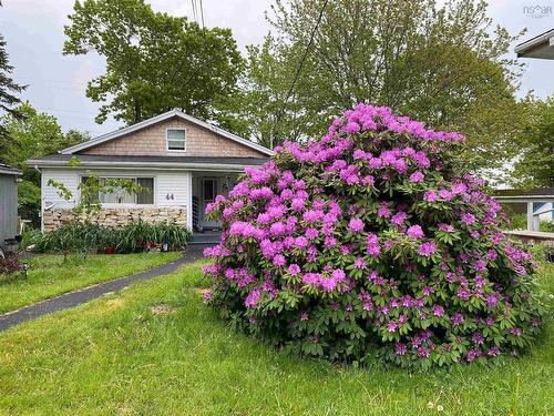 44 Courtney Road, Dartmouth, NS 