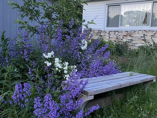 44 Courtney Road, Dartmouth, NS 