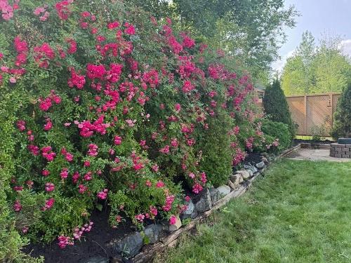 41 Elmwood Drive, Elmsdale, NS 