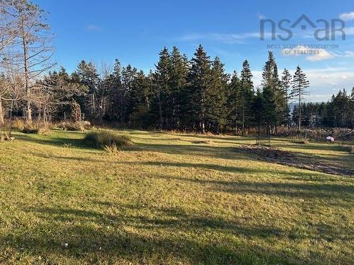 9690 Grenville Street, St. Peter'S, NS 