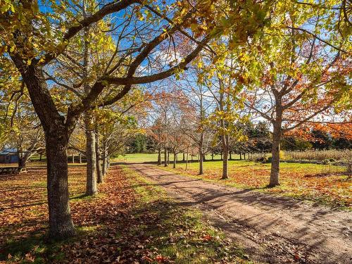 2229 New Glasgow Road, Wheatley River, PE 