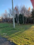 TERRAIN 0,28 ACRES ROUTE 135  Duguayville, NB E8M 1K2