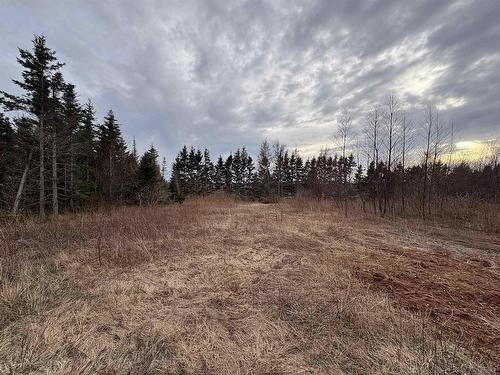 Lot Selkirk Park Road, Belfast, PE 