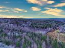 Maceachern Road, Judique North, NS 