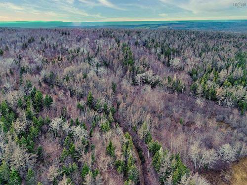 Maceachern Road, Judique North, NS 