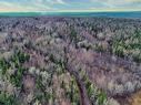 Maceachern Road, Judique North, NS 