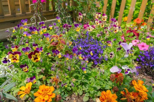 6234 Mystic Way, Nanaimo, BC 