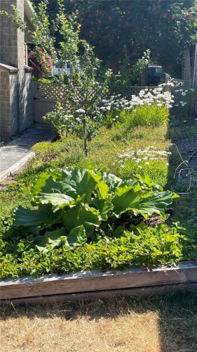 6255 Blueback Rd, Nanaimo, BC 