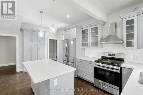 165 Cavell Avenue, Hamilton, ON - Indoor Photo Showing Kitchen With Upgraded Kitchen