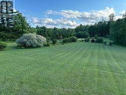 Big grassy back yard - 