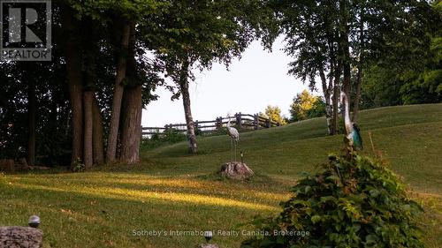 12 Matson Drive, Caledon (Palgrave), ON - Outdoor With View