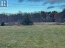 From lot looking East across the road - Lt 17 Pl 1182 Schenk St, Greater Napanee (Greater Napanee), ON 