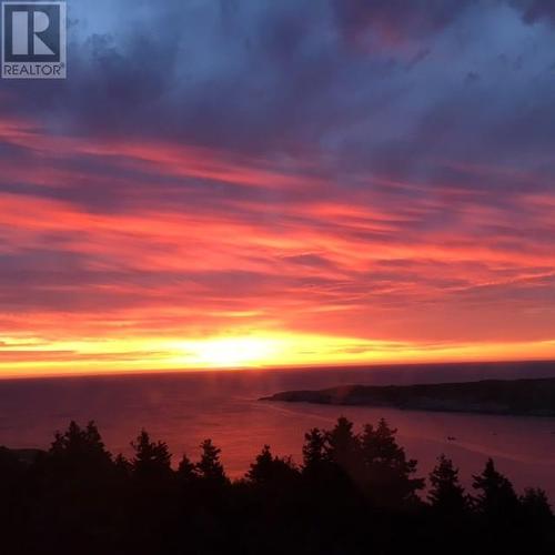 1 Wildberry Ridge, Flatrock, NL 