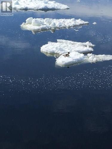 1 Wildberry Ridge, Flatrock, NL 