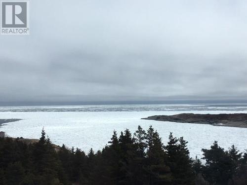 1 Wildberry Ridge, Flatrock, NL 