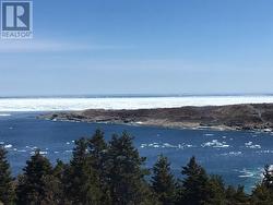 1 Wildberry Ridge  Flatrock, NL A1K 0M6