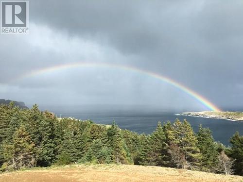 1 Wildberry Ridge, Flatrock, NL 