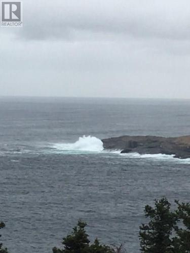 1 Wildberry Ridge, Flatrock, NL 