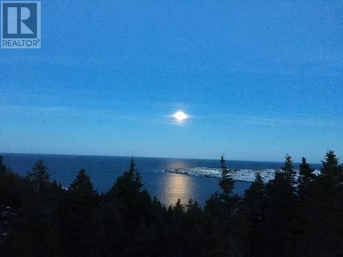 1 Wildberry Ridge, Flatrock, NL 