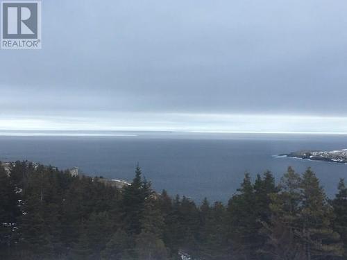 1 Wildberry Ridge, Flatrock, NL 