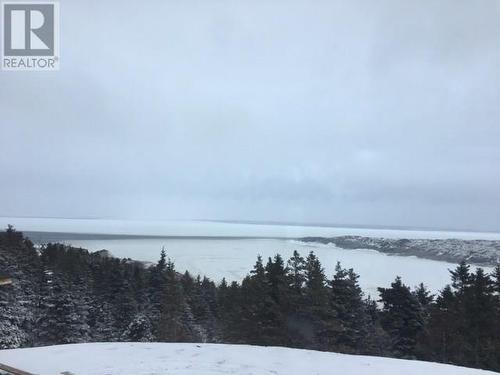 1 Wildberry Ridge, Flatrock, NL 