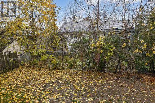 50 Ridout Street, Kawartha Lakes, ON - Outdoor