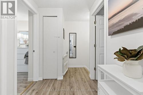 38 Golden Orchard Drive, Hamilton, ON - Indoor Photo Showing Other Room