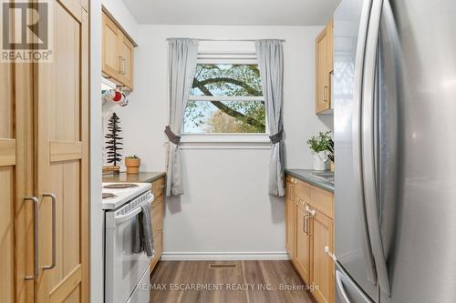 38 Golden Orchard Drive, Hamilton, ON - Indoor